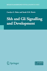 Shh and Gli Signalling in Development