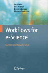 Workflows for e-Science