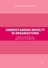 Understanding Novelty in Organizations