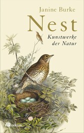 Nest