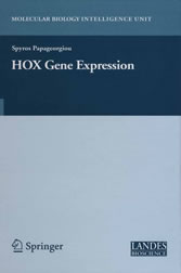 HOX Gene Expression