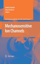 Mechanosensitive Ion Channels