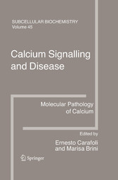 Calcium Signalling and Disease