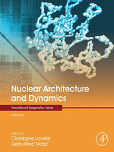 Nuclear Architecture and Dynamics