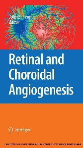 Retinal and Choroidal Angiogenesis