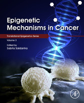 Epigenetic Mechanisms in Cancer