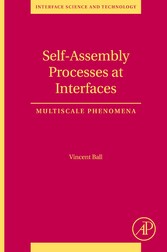 Self-Assembly Processes at Interfaces