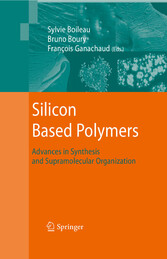 Silicon Based Polymers