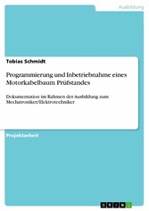 Programmierung und Inbetriebnahme eines Motorkabelbaum Prüfstandes