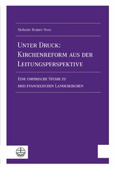 Unter Druck: Kirchenreform aus der Leitungsperspektive