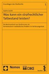 Was kann ein strafrechtlicher Tatbestand leisten?