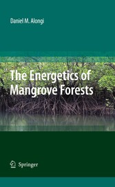 The Energetics of Mangrove Forests