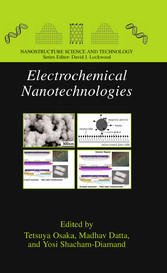 Electrochemical Nanotechnologies