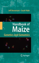 Handbook of Maize