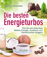 Die besten Energieturbos