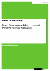 Biogas Conversion to Dibutyl ether and Dimethyl ether supporting ETS