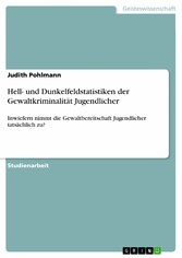 Hell- und Dunkelfeldstatistiken der Gewaltkriminalität Jugendlicher