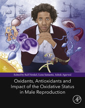 Oxidants, Antioxidants, and Impact of the Oxidative Status in Male Reproduction