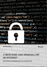 Cybercrime und Kriminalität im Internet. Methoden zur Minimierung des Dunkelfeldes