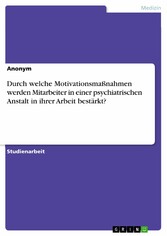 Durch welche Motivationsmaßnahmen werden Mitarbeiter in einer psychiatrischen Anstalt in ihrer Arbeit bestärkt?