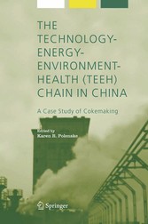 The Technology-Energy-Environment-Health (TEEH) Chain In China