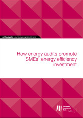 EIB Working Papers 2019/02 - How energy audits promote SMEs' energy efficiency investment