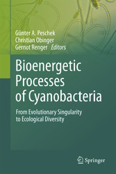 Bioenergetic Processes of Cyanobacteria