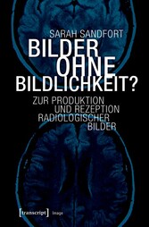 Bilder ohne Bildlichkeit?