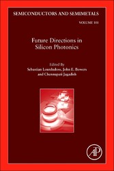 Future Directions in Silicon Photonics