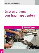 Erstversorgung von Traumapatienten