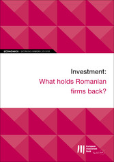 EIB Working Papers 2019/08 - Investment: What holds Romanian firms back?