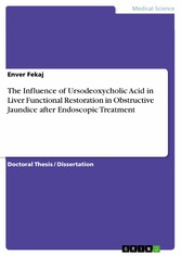 The Influence of Ursodeoxycholic Acid in Liver Functional Restoration in Obstructive Jaundice after Endoscopic Treatment