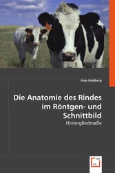 Die Anatomie des Rindes im Röntgen- und Schnittbild