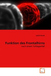 Funktion des Frontalhirns