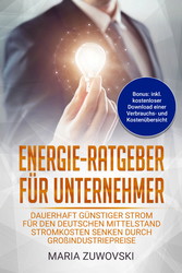 Energie-Ratgeber für Unternehmer