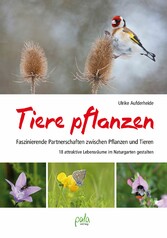 Tiere pflanzen