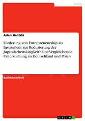 Förderung von Entrepreneurship als Instrument zur Reduzierung der Jugendarbeitslosigkeit? Eine Vergleichende Untersuchung zu Deutschland und Polen