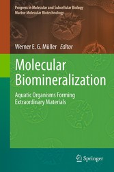 Molecular Biomineralization