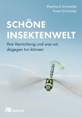 Schöne Insektenwelt