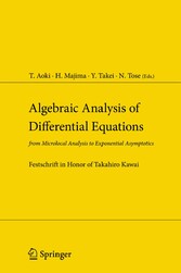 Algebraic Analysis of Differential Equations