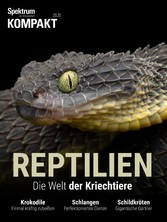 Spektrum Kompakt - Reptilien