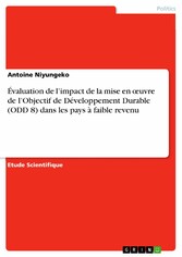 Évaluation de l'impact de la mise en ?uvre de l'Objectif de Développement Durable (ODD 8) dans les pays à faible revenu