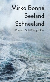 Seeland Schneeland