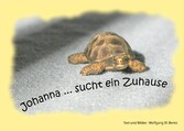 Johanna sucht ein Zuhause