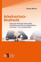 Arbeitsschutz-Strafrecht