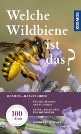 Welche Wildbiene ist das?