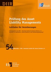 Prüfung des Asset Liability Managements