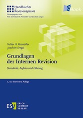 Grundlagen der Internen Revision