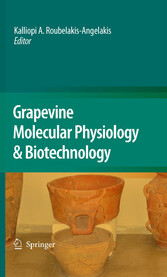 Grapevine Molecular Physiology & Biotechnology