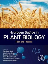 Hydrogen Sulfide in Plant Biology